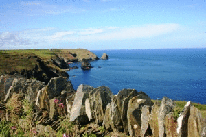 boscastle_gif.gif